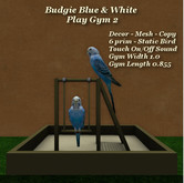 Budgie Blue & White Gym 2
