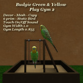 Budgie Green & Yellow Gym 2