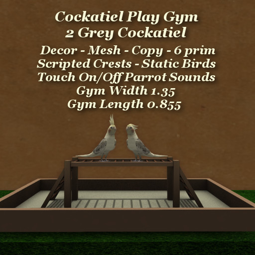Cockatiel Gym - 2 Grey Cockatiel
