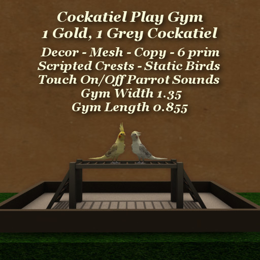 Cockatiel Gym - Gold & Grey Cockatiel
