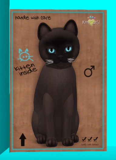 KittyCatS Box - Burmese - Sable