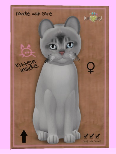 KittyCatS Box - Abyssinian - Black Silver 