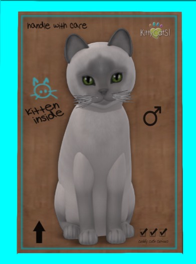 KittyCatS Box - Siamese - Lilac