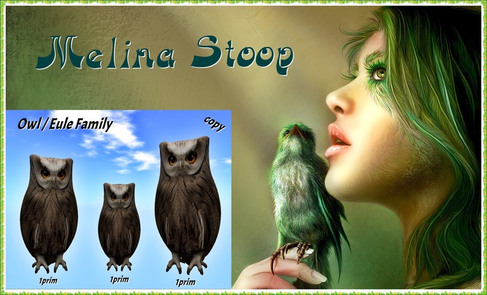 Owl / Eule Family  ( MP )