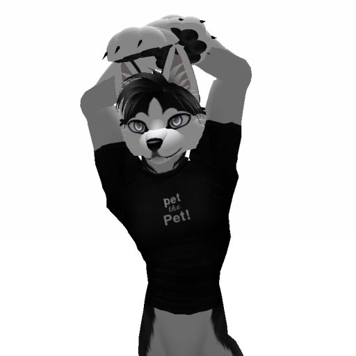 Furry T-Shirt pet the Pet!