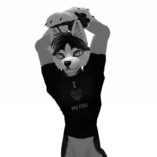 Furry T-Shirt I love my fox