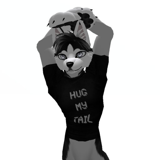 Furry T-Shirt Hug my tail