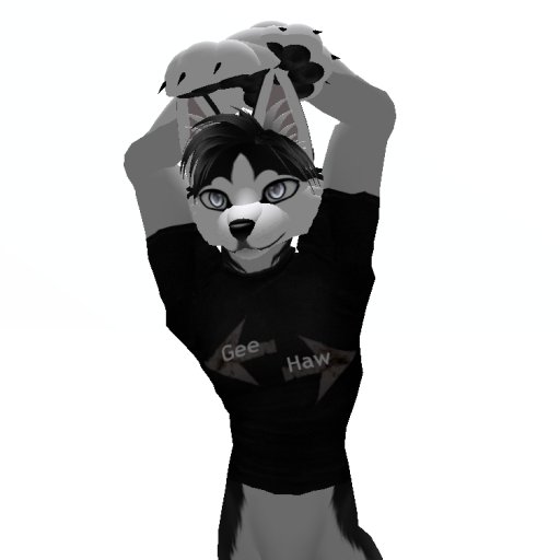Furry T-Shirt Gee Haw