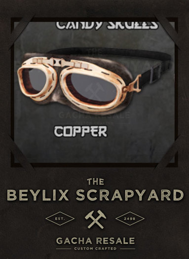[The Forge] Goggles, Copper -CBOX