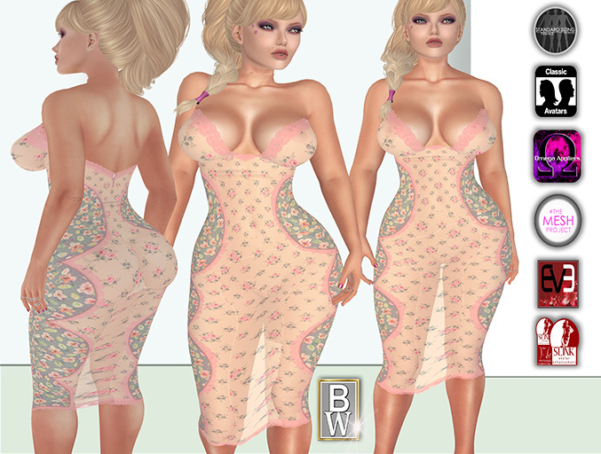 Long dress sheer 'Romy' :)
