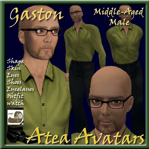 Gaston Middle Aged Male Avatar