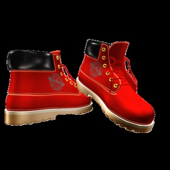 ac dc boots