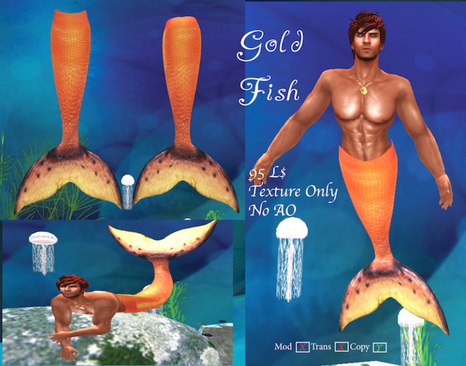 GoldFishBody