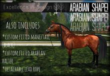 arabian shape + goodies! (black)