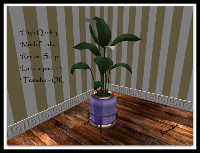 [ IBAN ] Calla Elegance FB 01