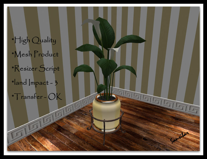 [ IBAN ] Calla Elegance FB 01