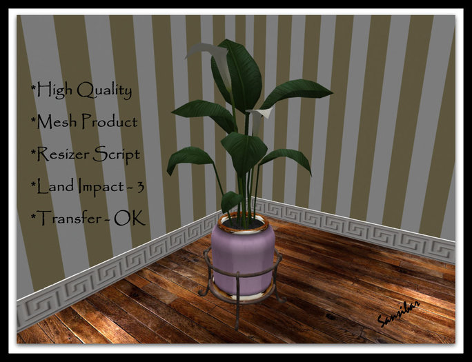 [ IBAN ] Calla Elegance FB 01