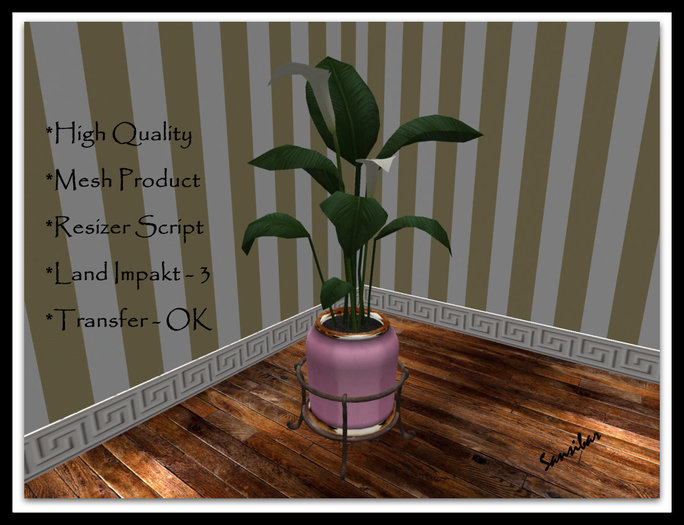 [ IBAN ] Calla Elegance FB 01