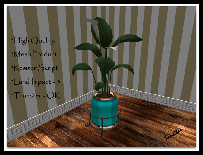 [ IBAN ] Calla Elegance FB 01