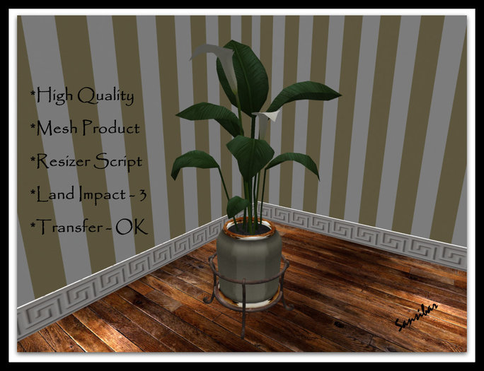 [ IBAN ] Calla Elegance FB 01