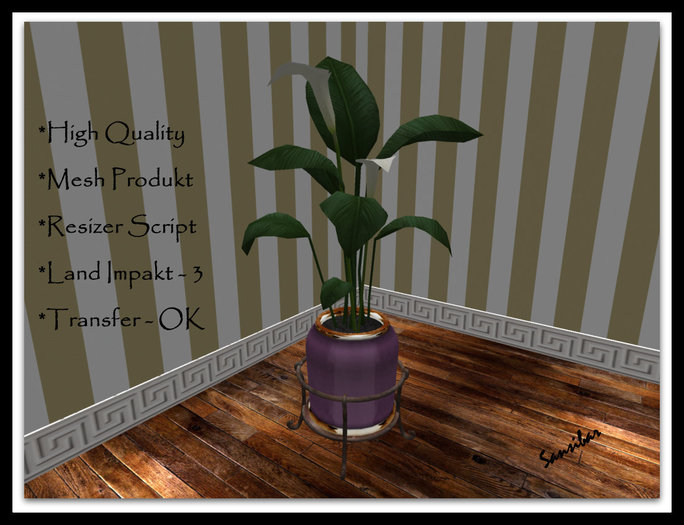 [ IBAN ] Calla Elegance FB 01