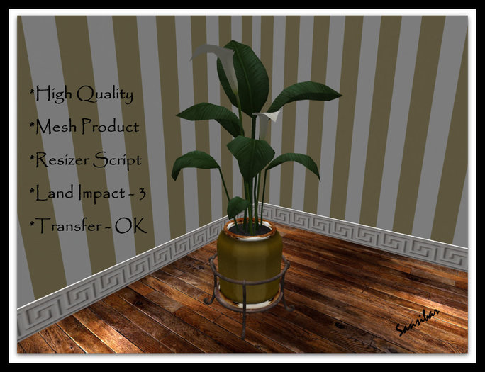 [ IBAN ] Calla Elegance FB 01