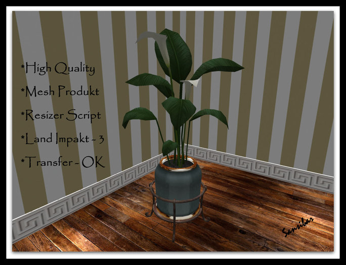 [ IBAN ] Calla Elegance FB 01