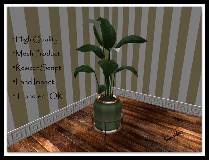 [ IBAN ] Calla Elegance FB 01