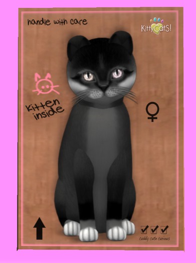 KittyCatS Box - Foxie - Soft Black