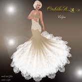 ** ORCHIDEA ** ECLIPSE nude