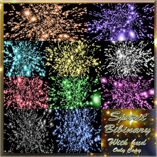 Spirit bibinary