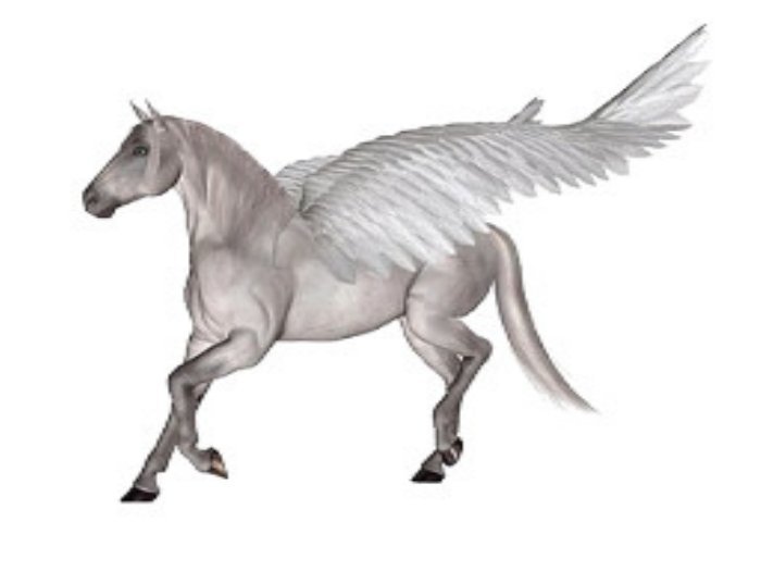 pegasus
