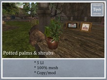 [ELPI] Big pot w. palms - Boxed