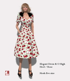 E13-3 Elegant Dress & O High Heel / Rise Box / Market
