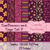 *Cupids Textures * 20 MY SPECIAL DAY SET 3