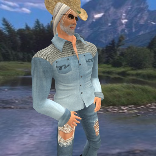S/B Western Shirt Blue/Grey