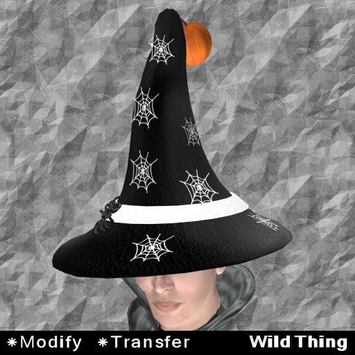 (WildThing) *- Wizard Hat- Spider Web -Black-*