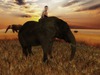 Snapshot 105
