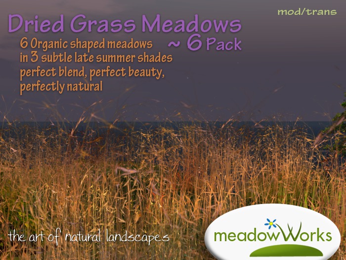 Dried Grass Meadows 6 Pack