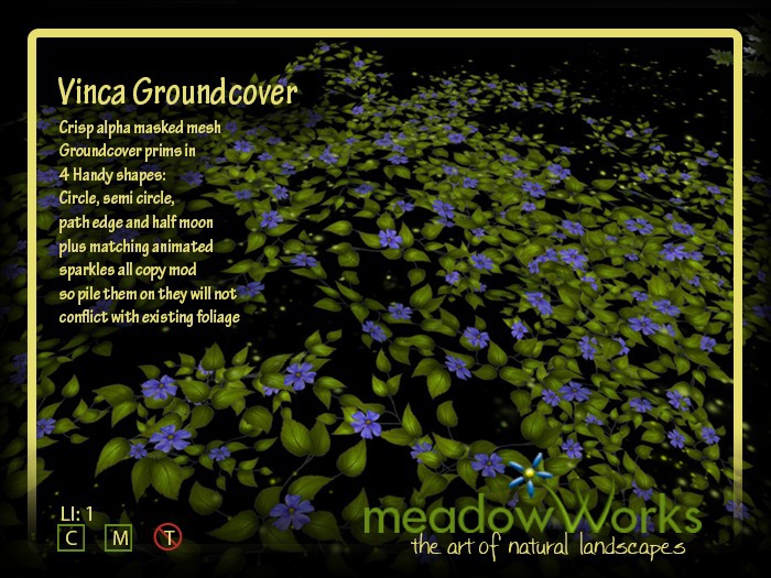 Vinca Groundcovers 