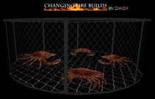 AP - Dungeness Crab Pot w/Crabs