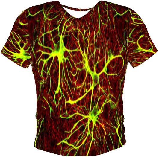 Synapse T-Shirt Boxed