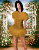 Gold Lace Mini Dress