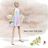 Fit Mesh Pastel Over Dress Box