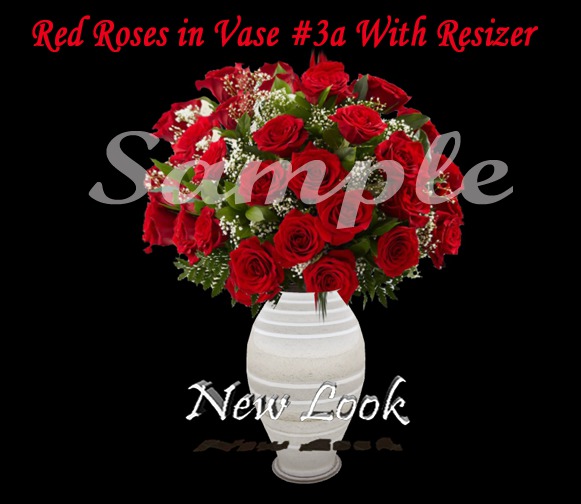 Princess Red Roses #3a in Vase Sculpted with Resizer and Fullbright 2LI