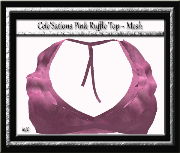 Cele'Sations Mini Skirt A MESH Pk