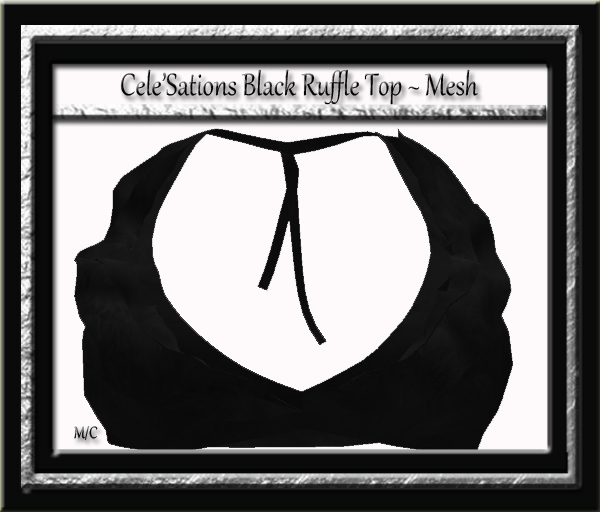 Cele'Sations Mini Skirt A MESH Pk