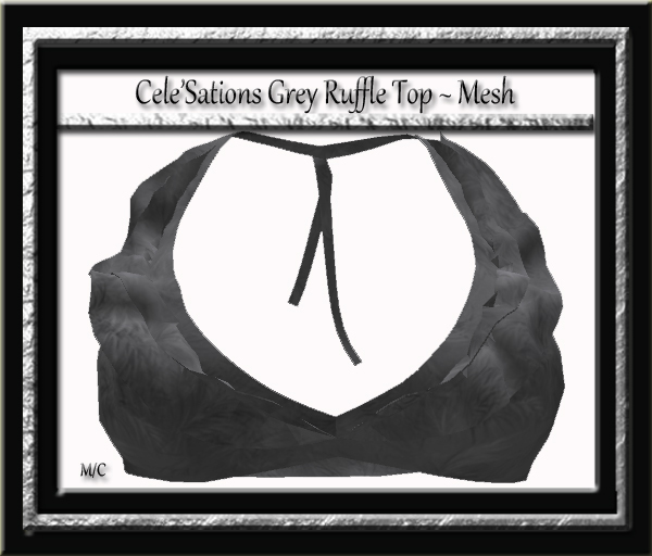 Cele'Sations Mini Skirt A MESH Pk