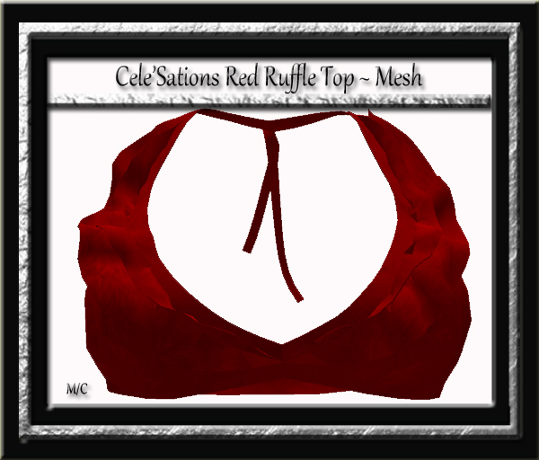 Cele'Sations Mini Skirt A MESH Pk