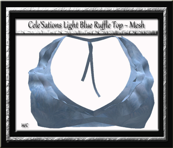 Cele'Sations Mini Skirt A MESH Pk